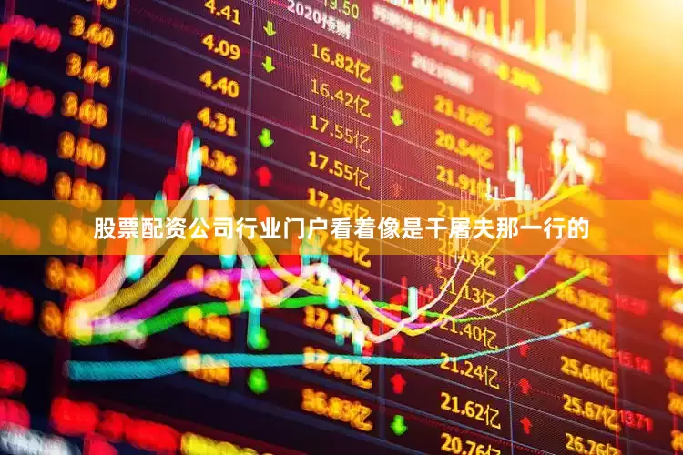 股票配资公司行业门户看着像是干屠夫那一行的
