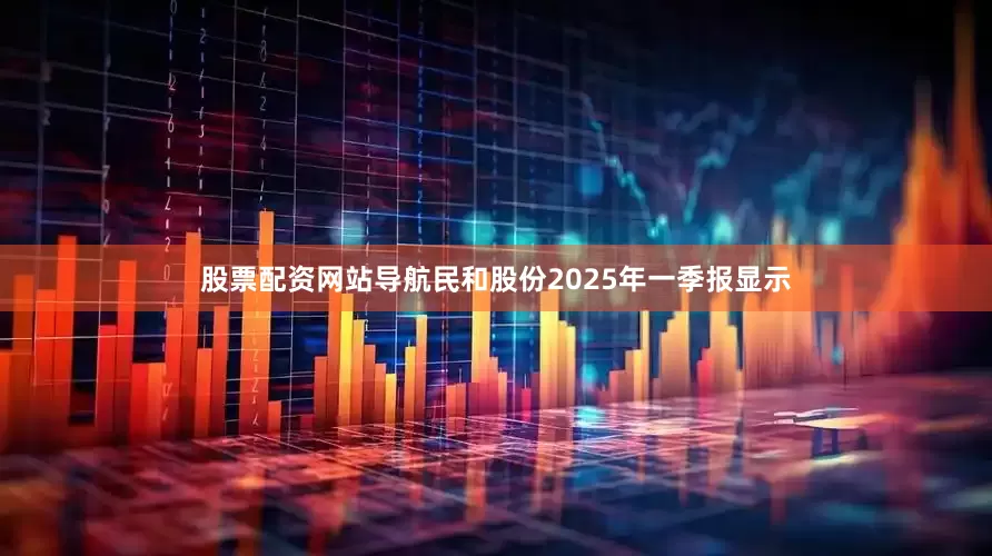 股票配资网站导航民和股份2025年一季报显示
