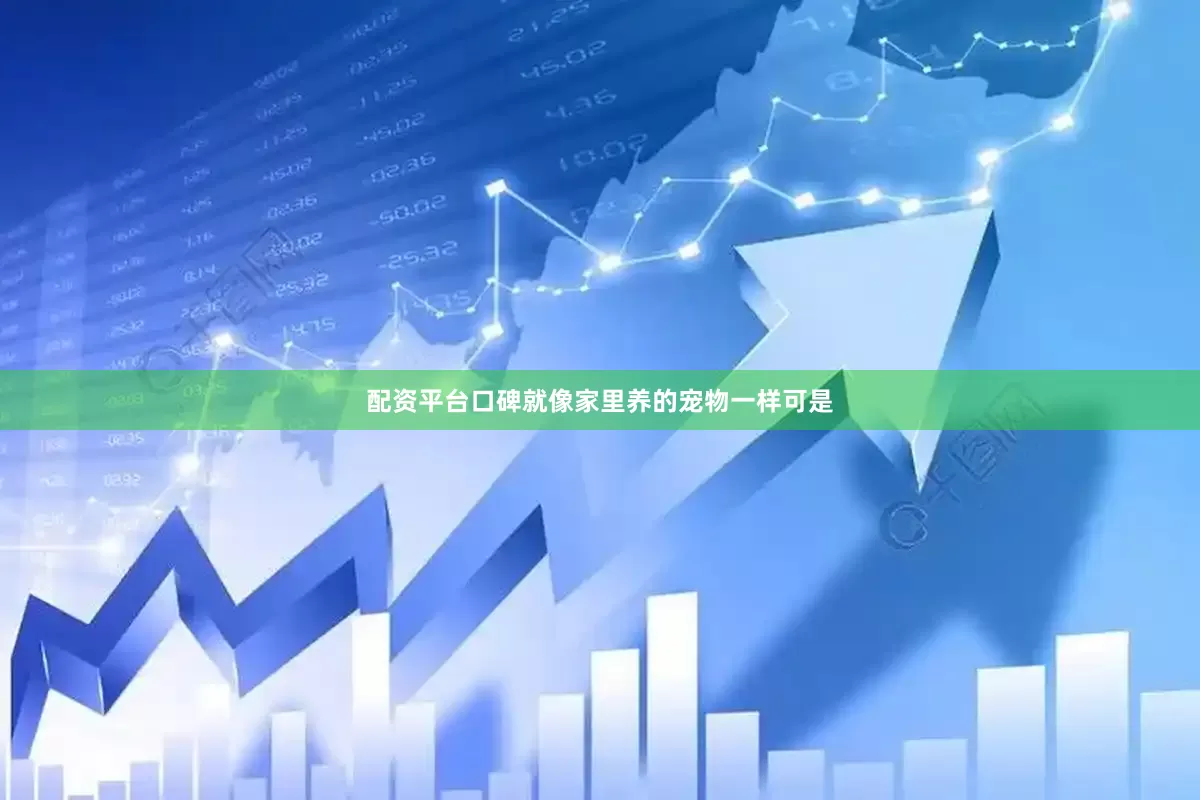 配资平台口碑就像家里养的宠物一样可是